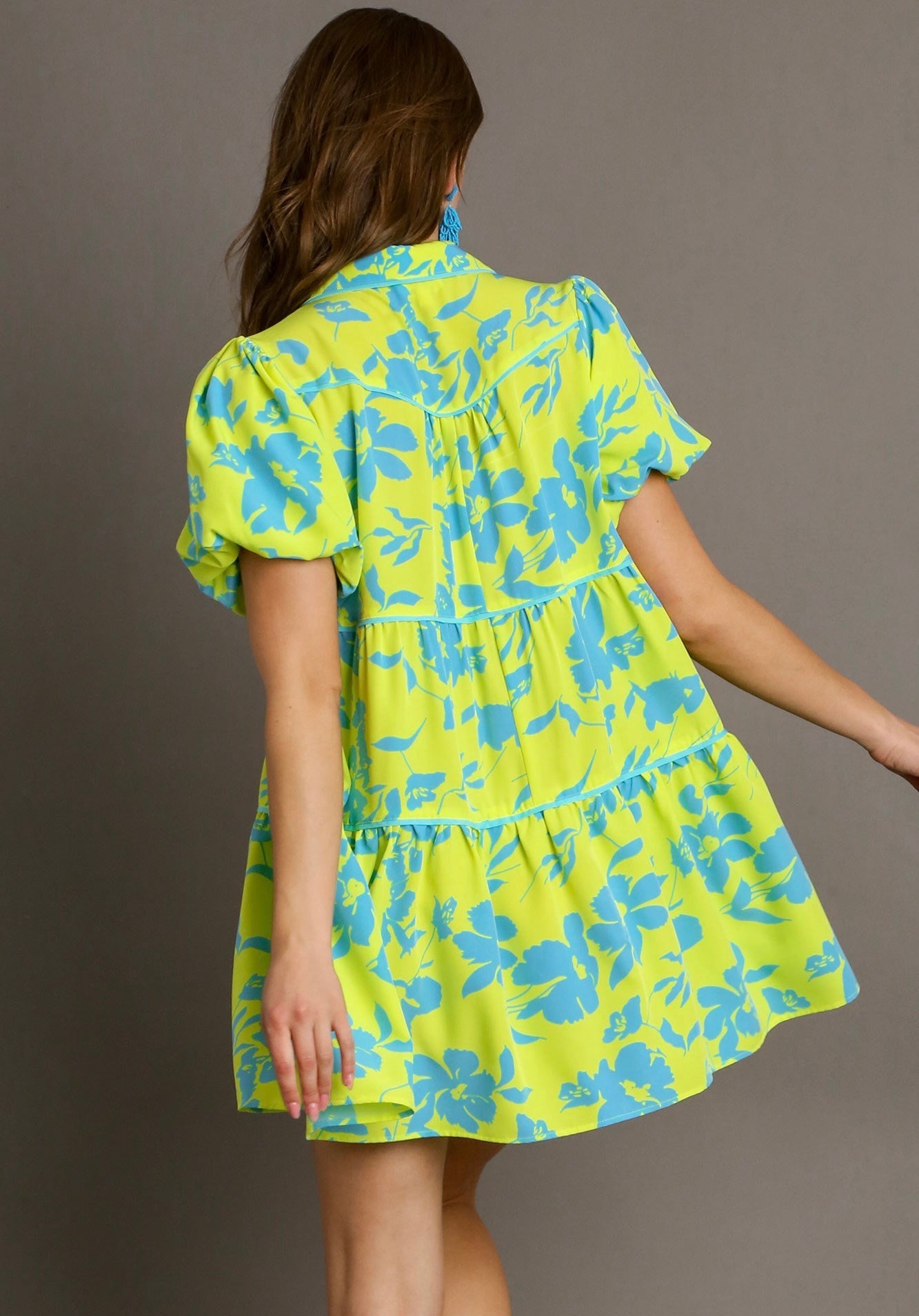 Floral Print Collared A-Line Dress